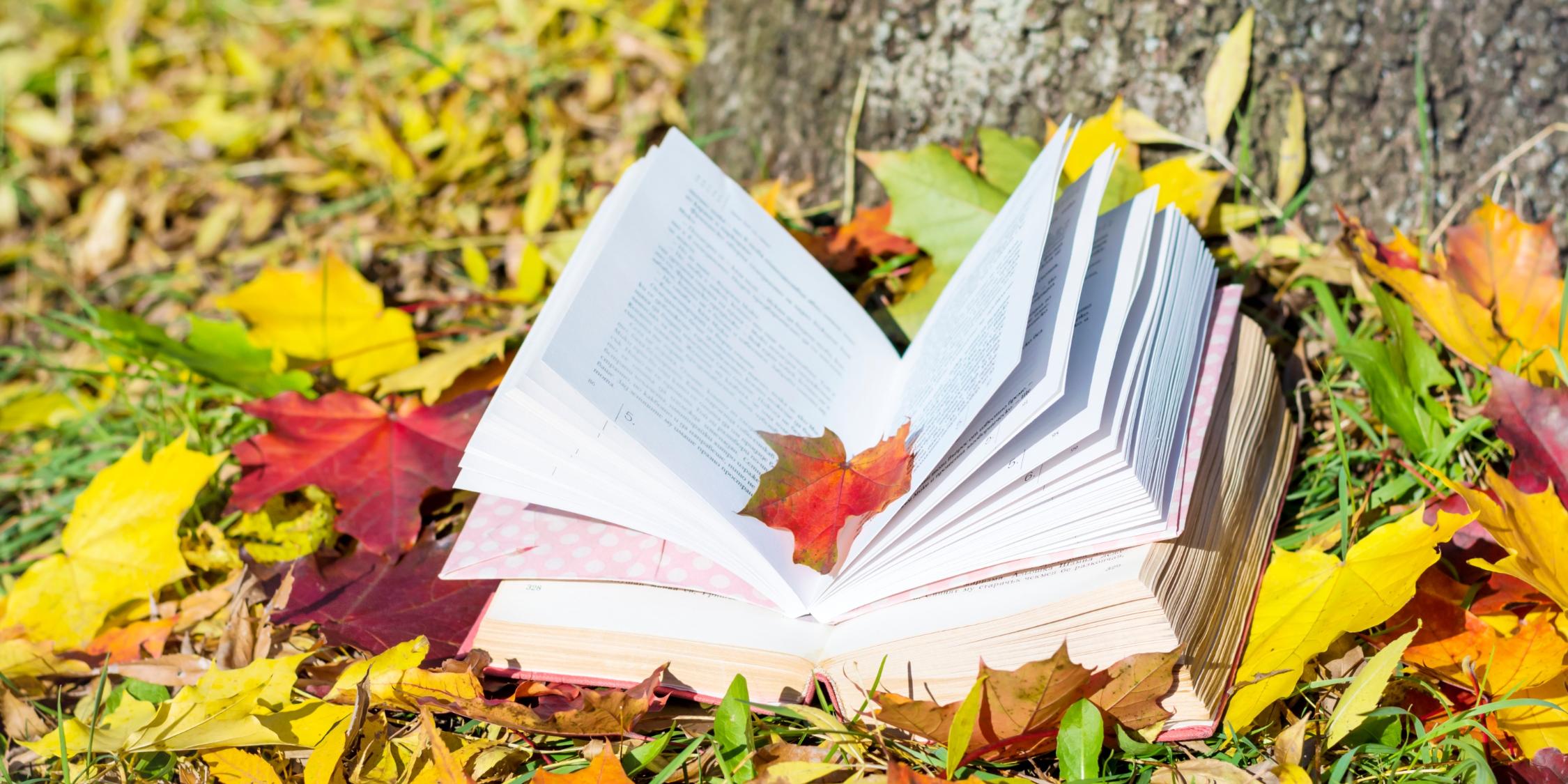 Herbsttagung Büchereien Diözese Regensburg Aufgeschlagenes Buch mit Blätter