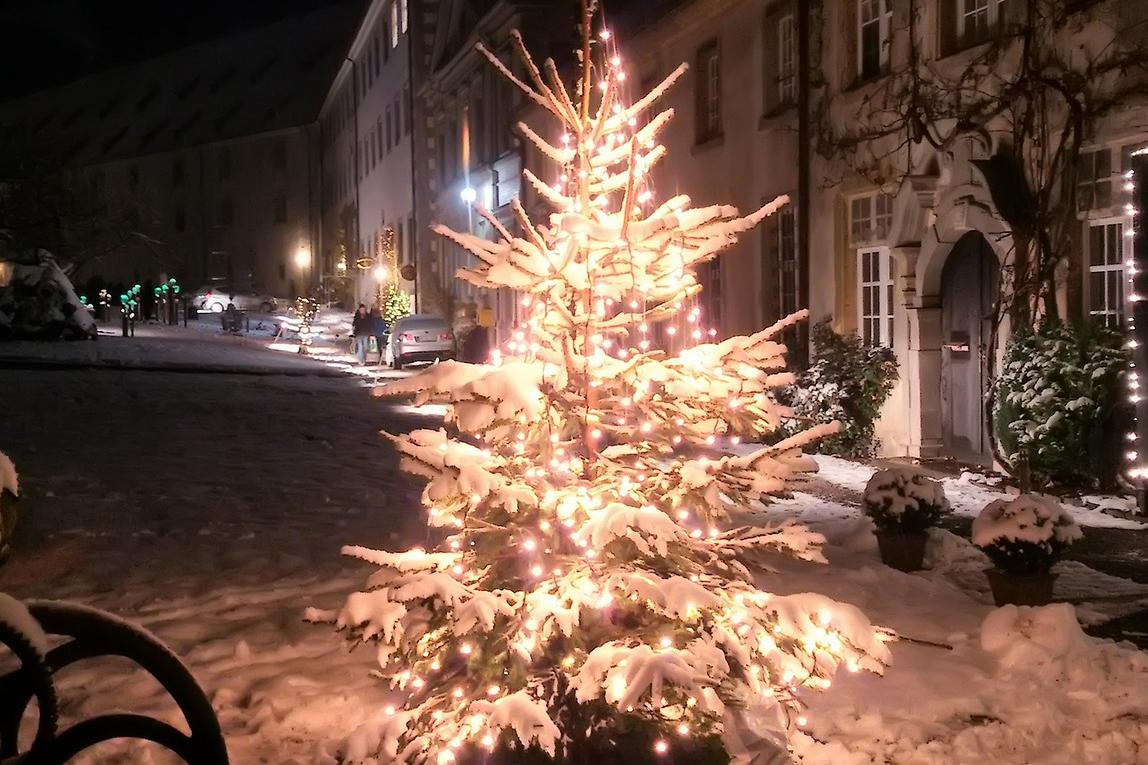 weihnachtsbaum-bilder-9